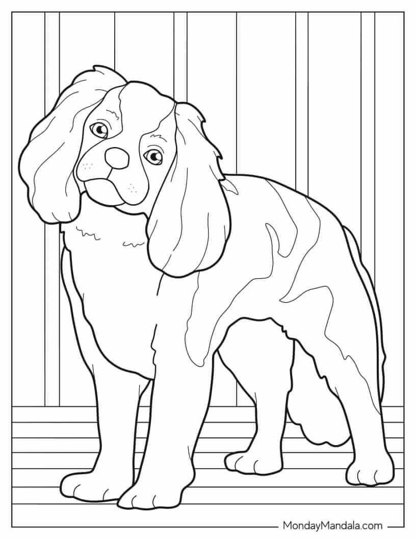 Pretty Spaniel Dog To Color coloring page — printable line art