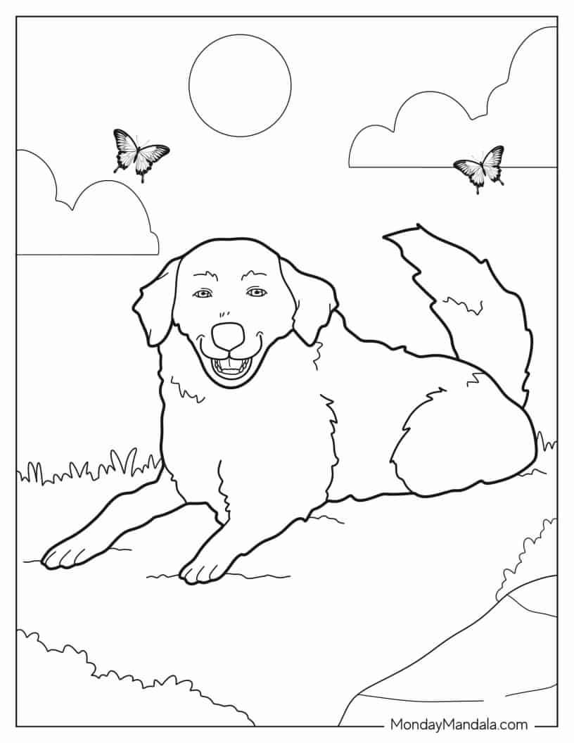 Sheepdog Resting In Field To Color coloring page — printable line art