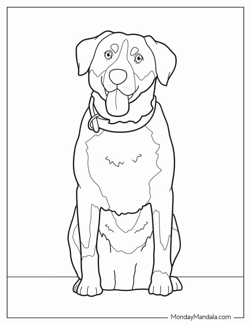 Simple Outline Of Greater Swiss Mountain Dog coloring page
