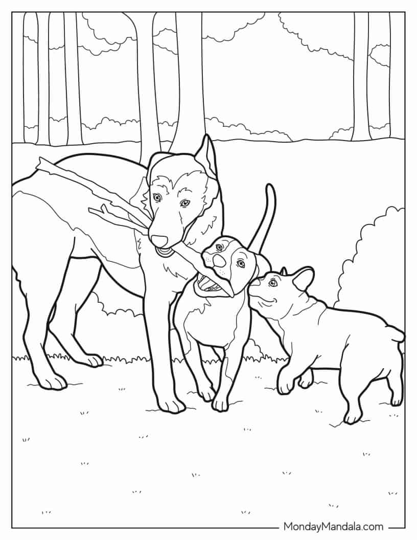 Three Dogs Playing With Large Stick coloring page