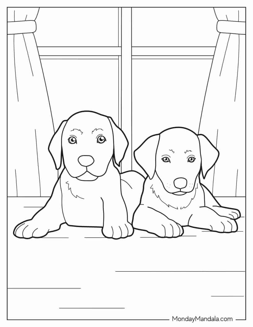 Two Cute Labrador Puppies Coloring Sheet coloring page