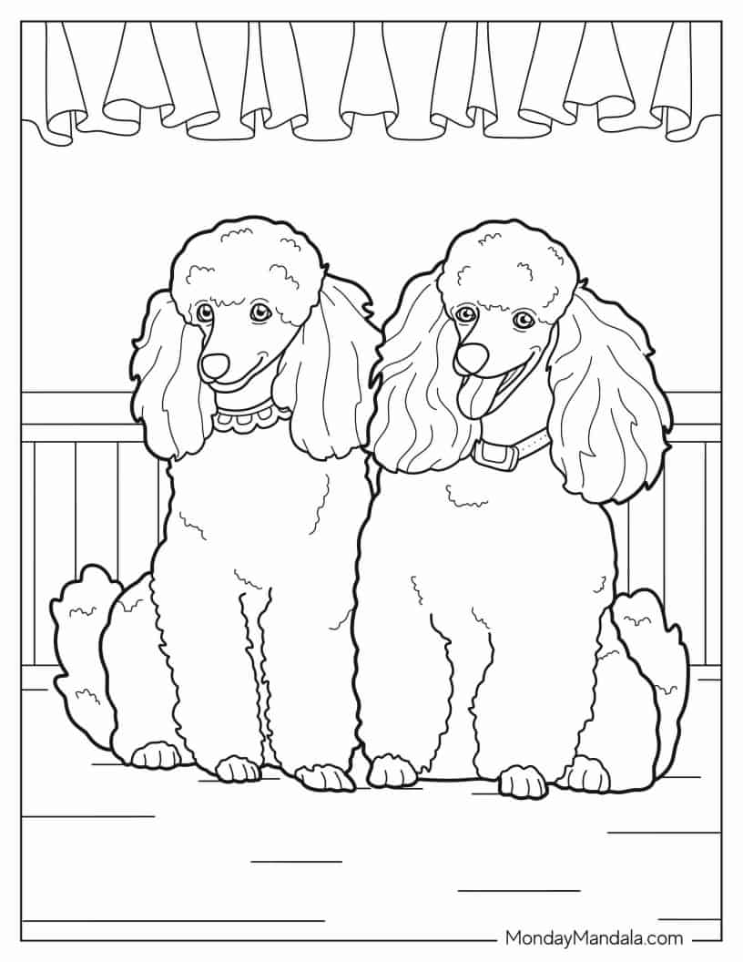 Two Miniature Poodles Smiling coloring page — printable line art