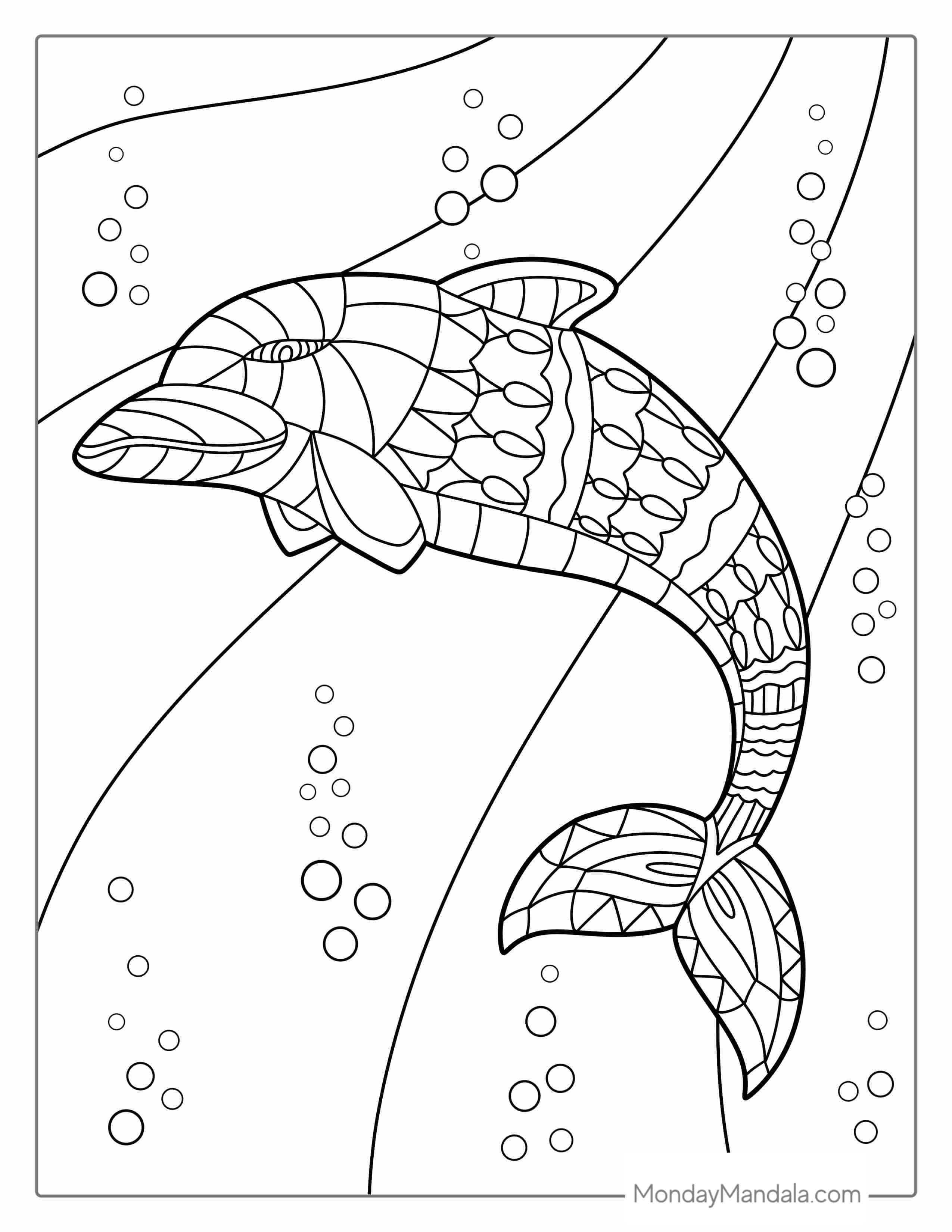 Mandala Dolphin Coloring Page For Adults coloring page — printable line art