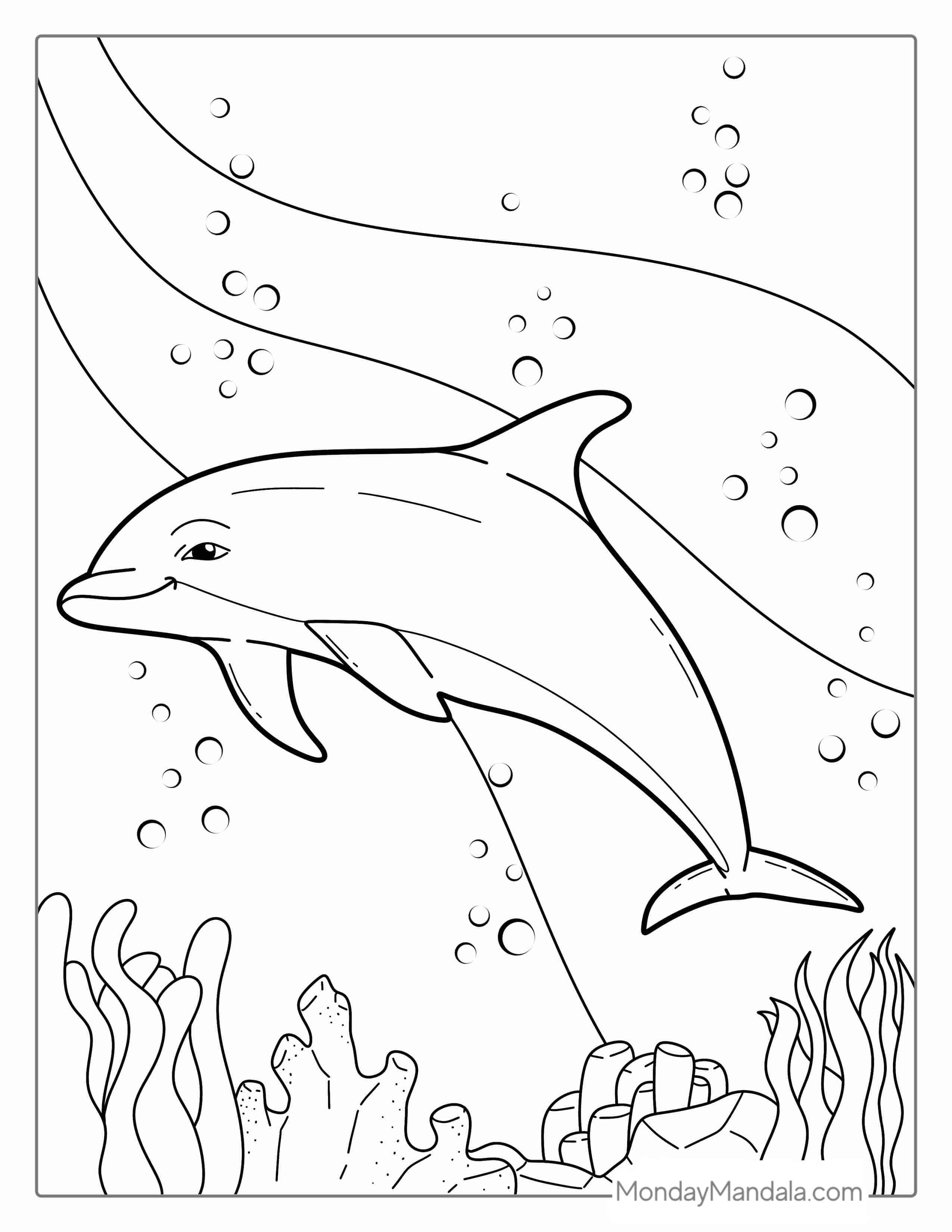 Striped Dolphin Coloring Page coloring page