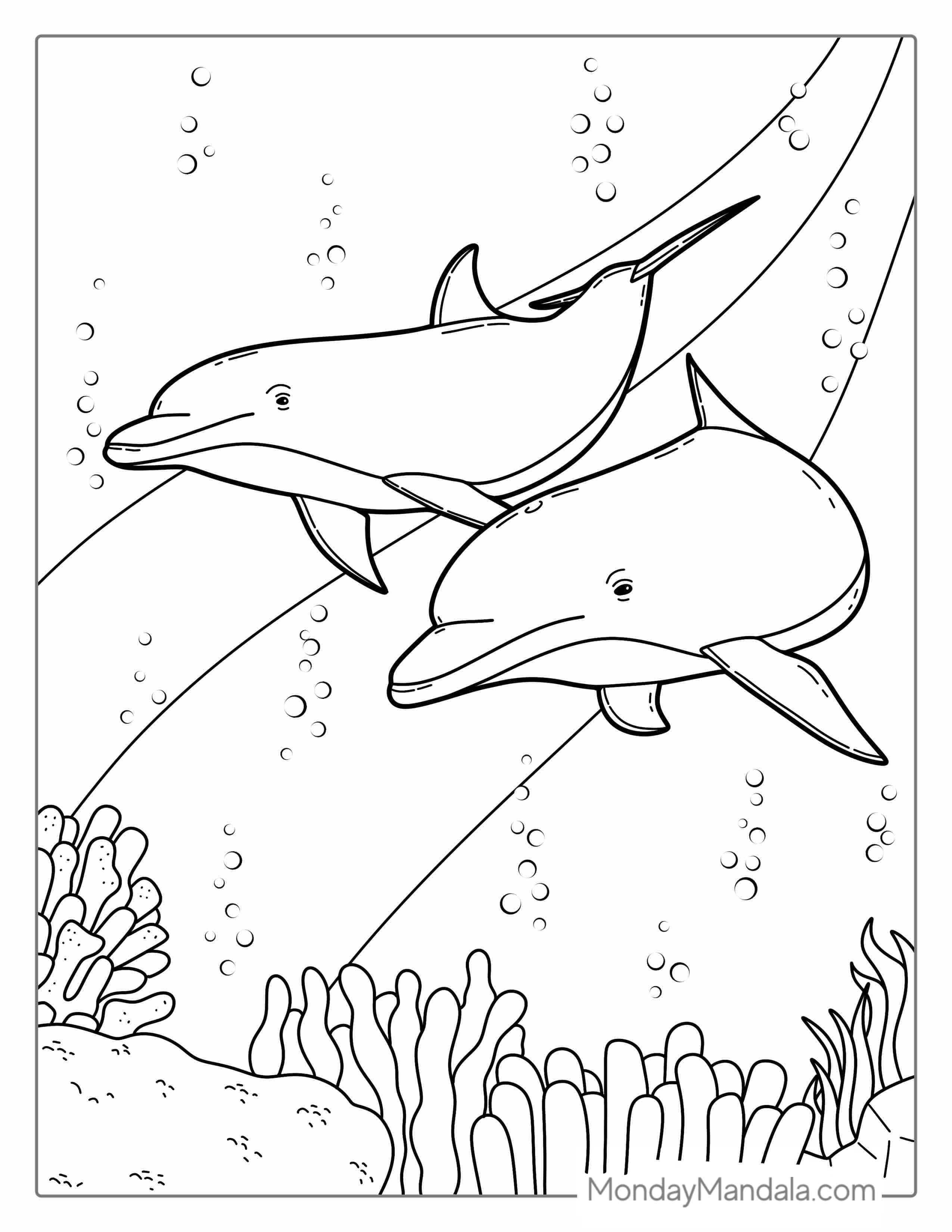 Two Dolphins Swimming On Reef Coloring Page coloring page