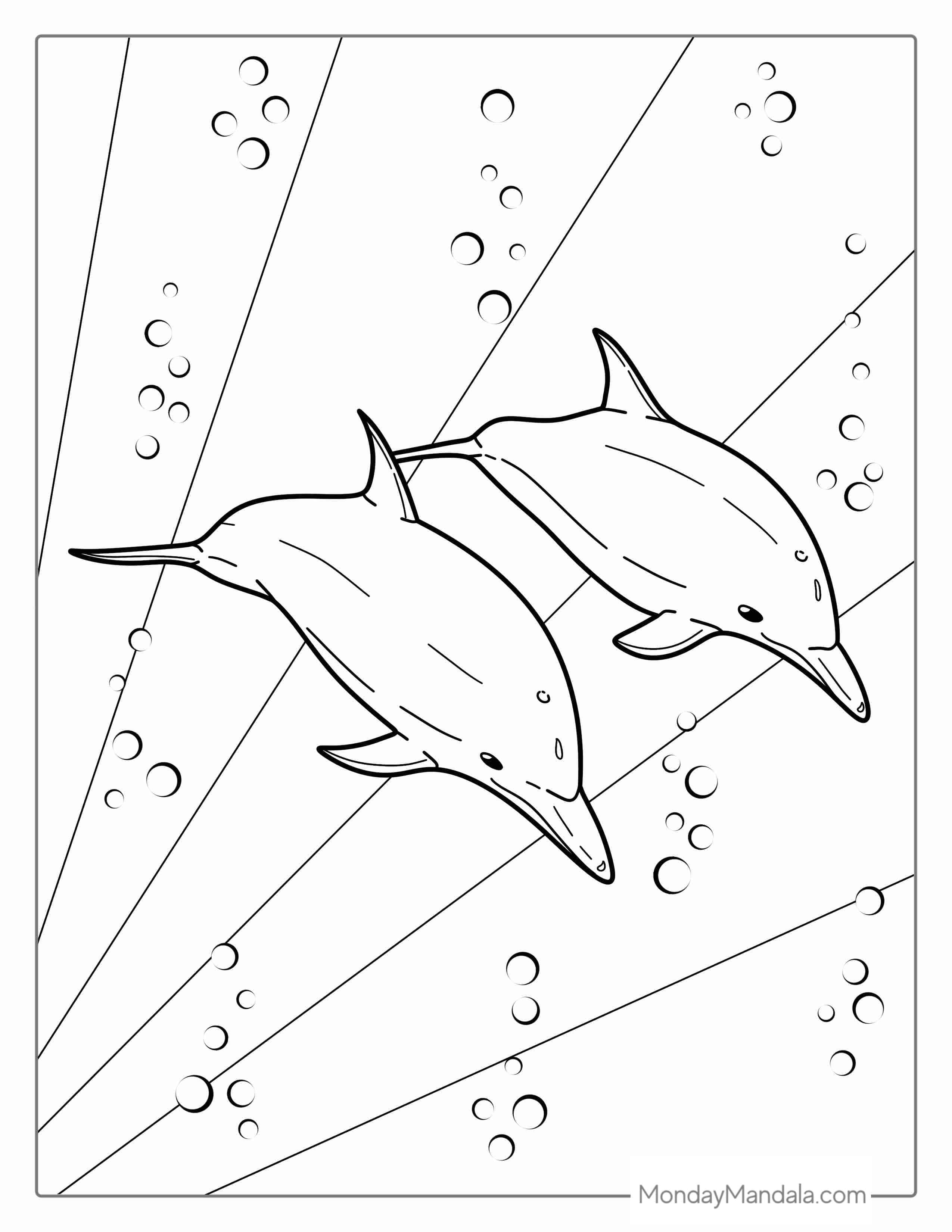 Two Striped Dolphins Swimming In Ocean coloring page