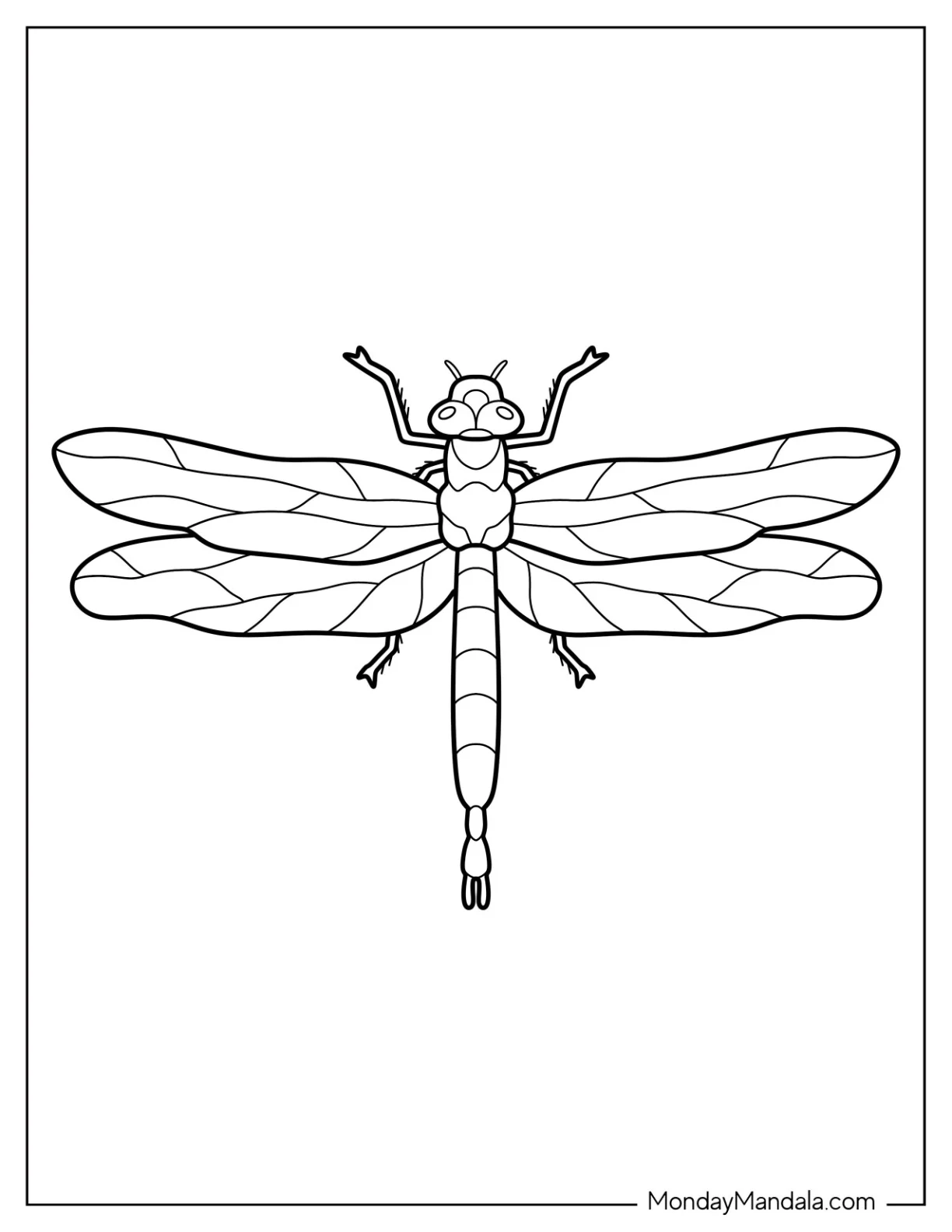 Easy Dragonfly Coloring Page With Detailed Parts coloring page