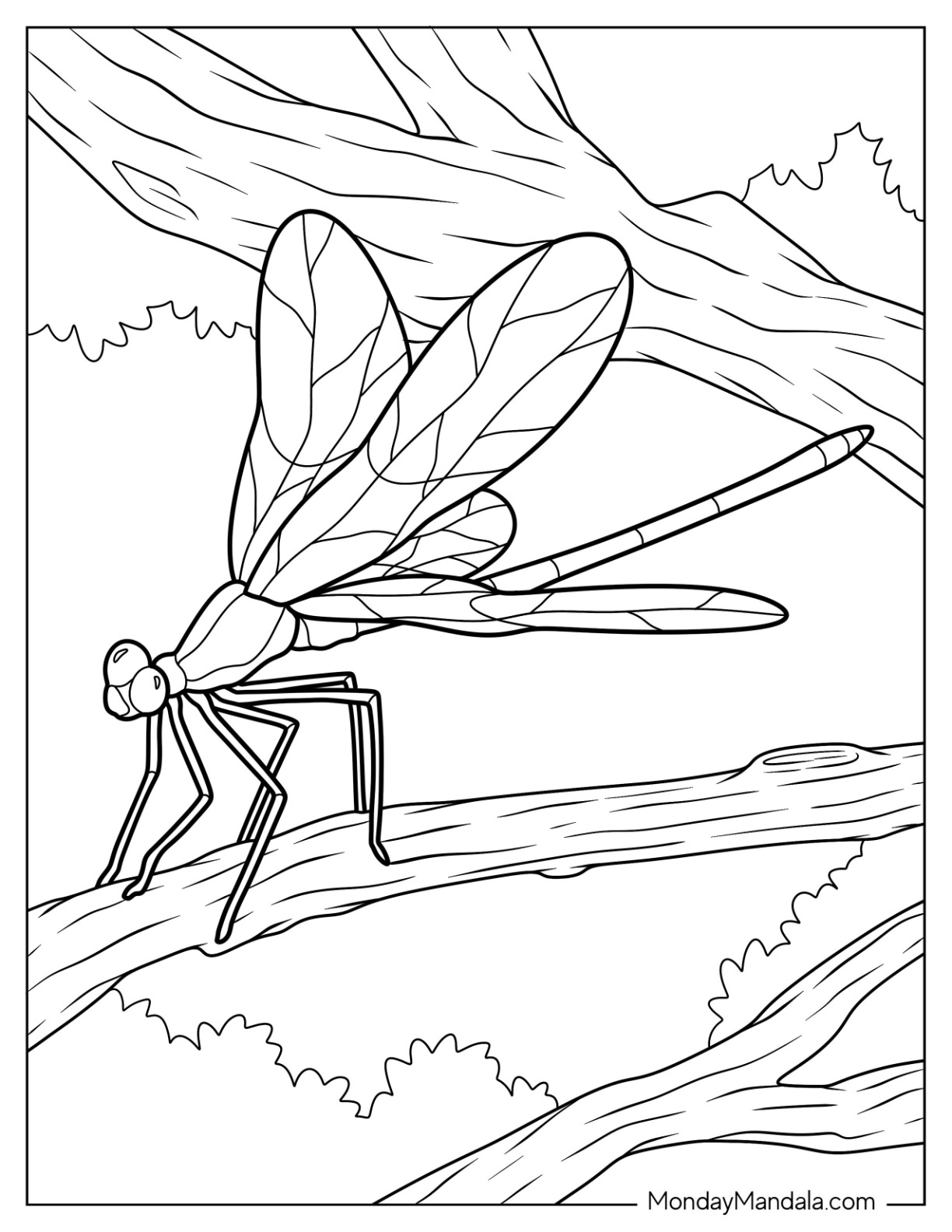 Realistic Dragonfly Coloring Page On Tree Branch coloring page