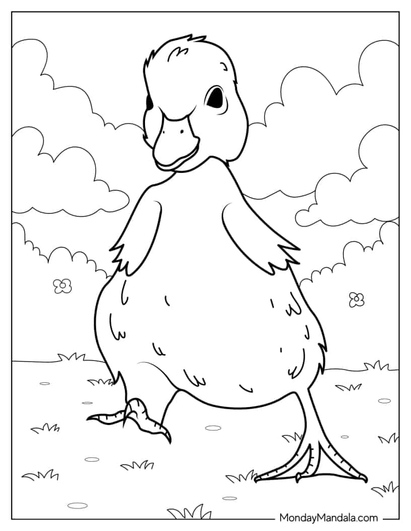 Baby Ducklings Walking For The First Time coloring page — printable line art