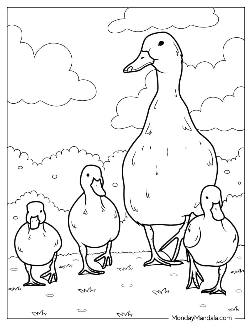 Blue-winged Teal Duck With Ducklings coloring page