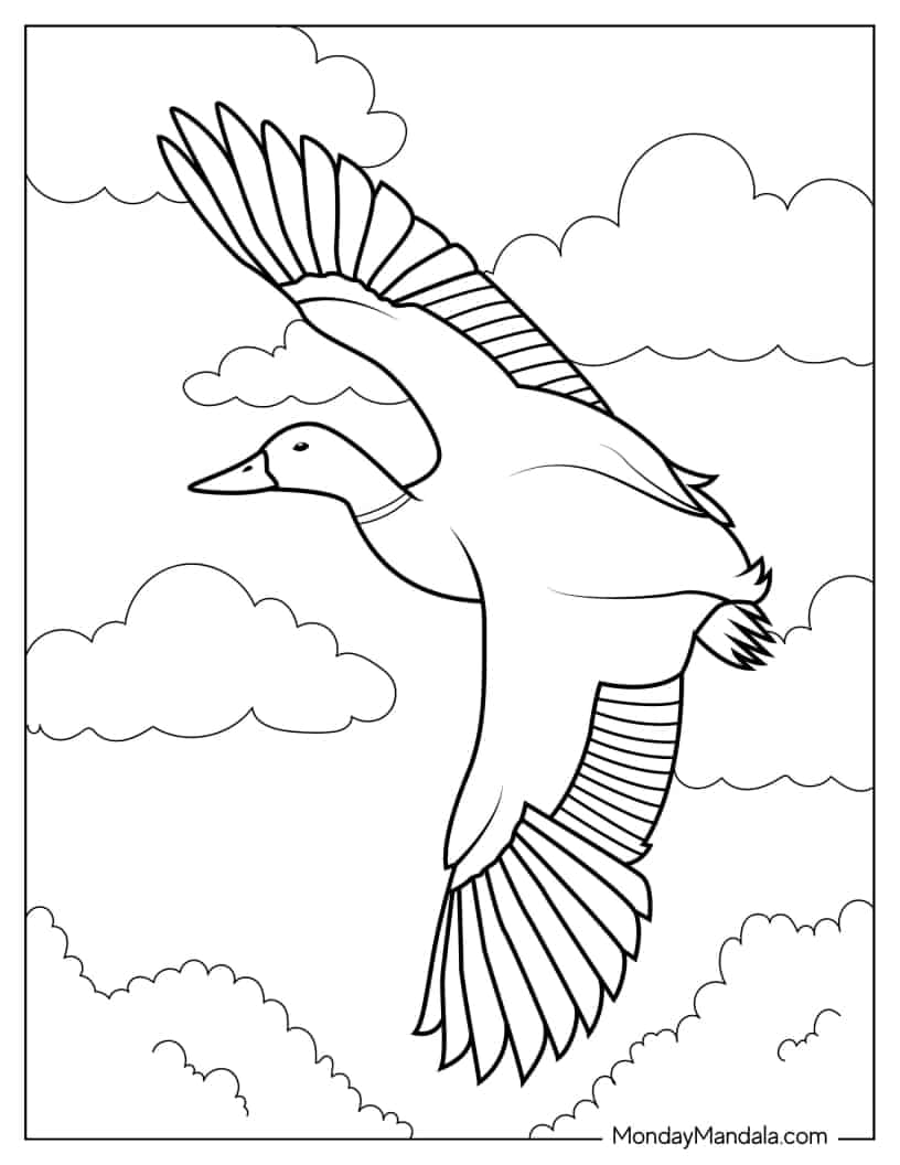 Coloring Page Of a Duck Flying coloring page