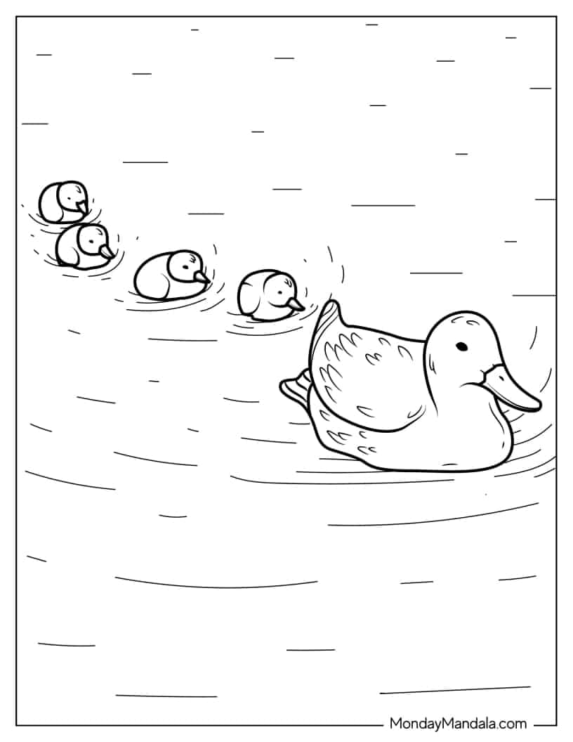 Ducklings Following Mom In The Pond coloring page — printable line art