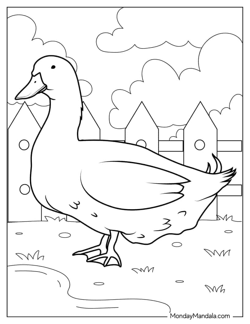 Farm Duck Coloring Page coloring page — printable line art