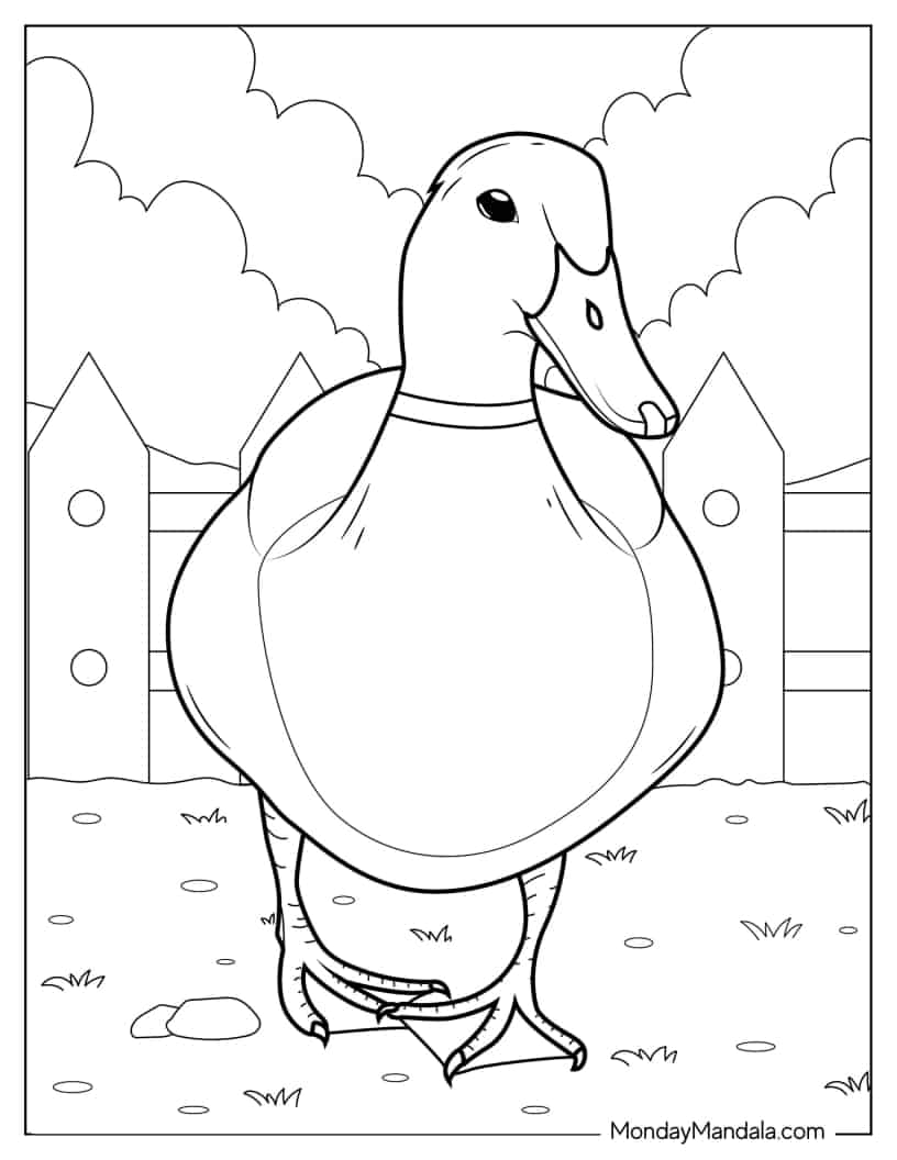 Mallard Duck Coloring Page coloring page — printable line art