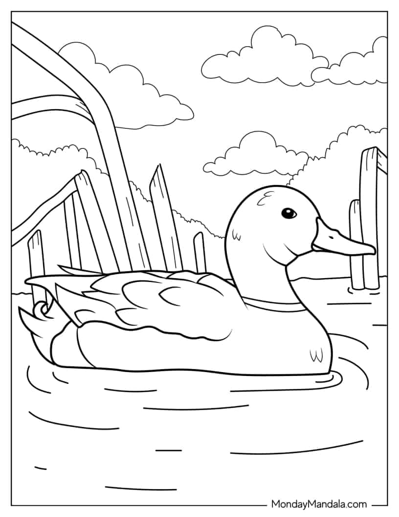 Mallard Floating In a Pond To Color coloring page
