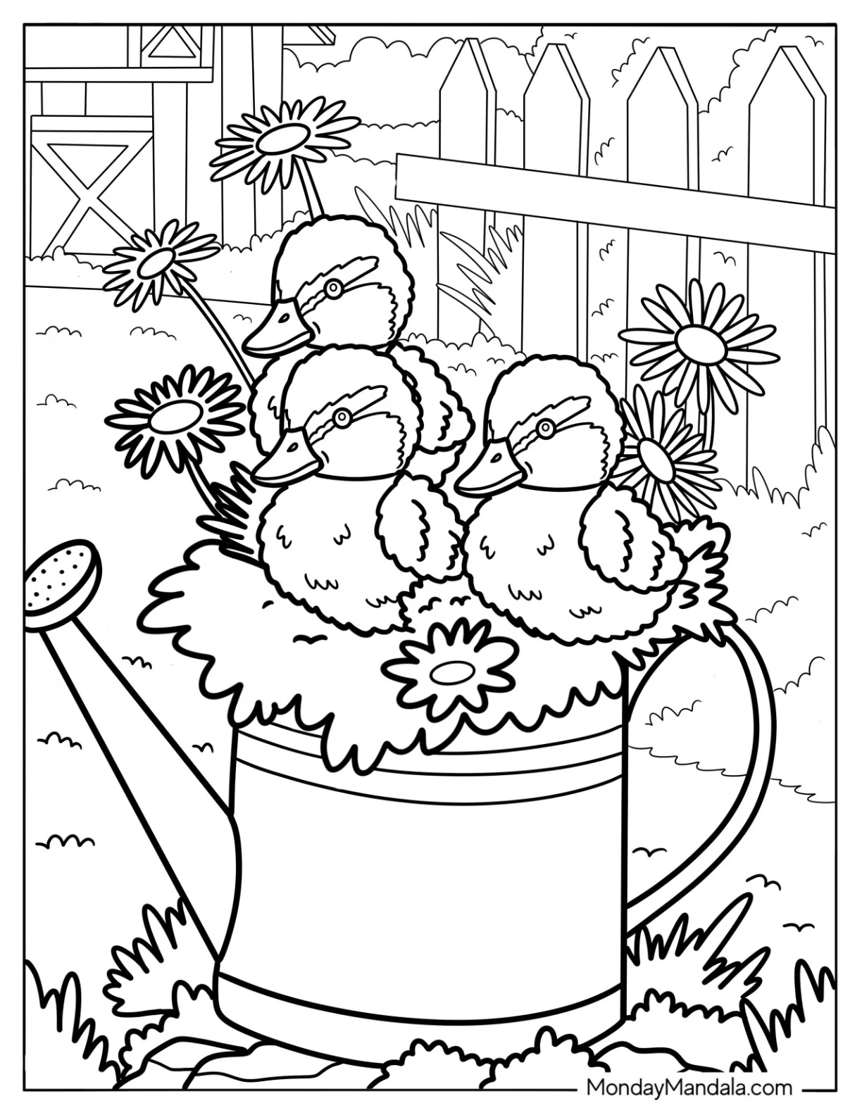 Spring Ducklings In A Watering Can Surrounded by Daisies Coloring Sheet coloring page — printable line art