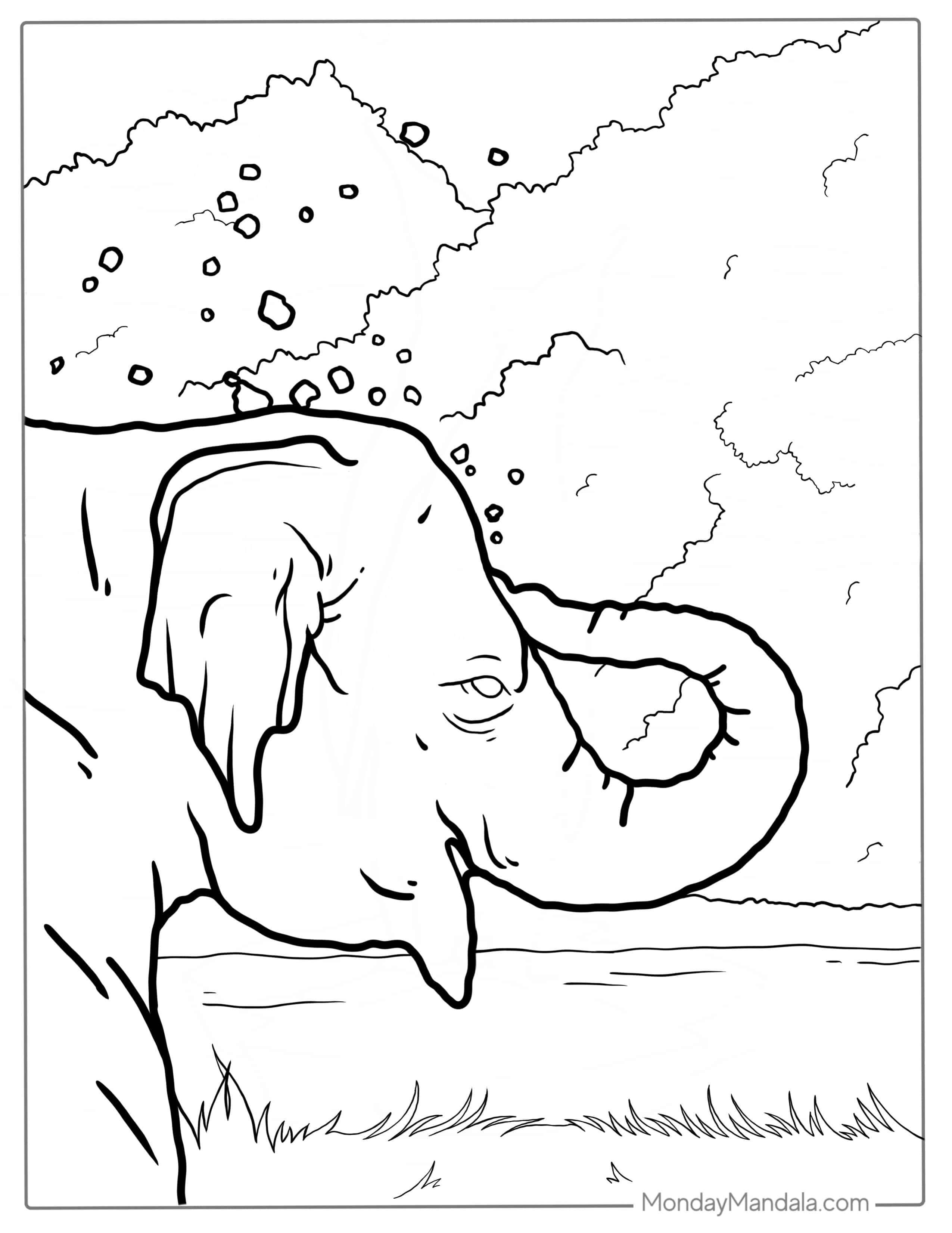 Elephant Cooling Itself With Dirt coloring page — printable line art