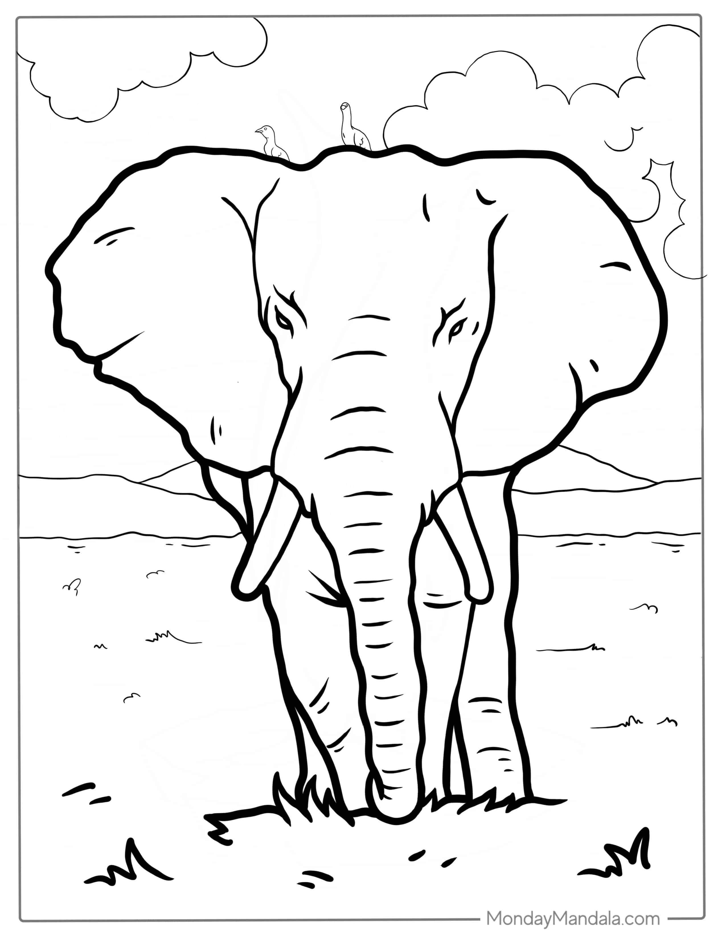 Majestic Elephant With Birds On Head Coloring Page coloring page