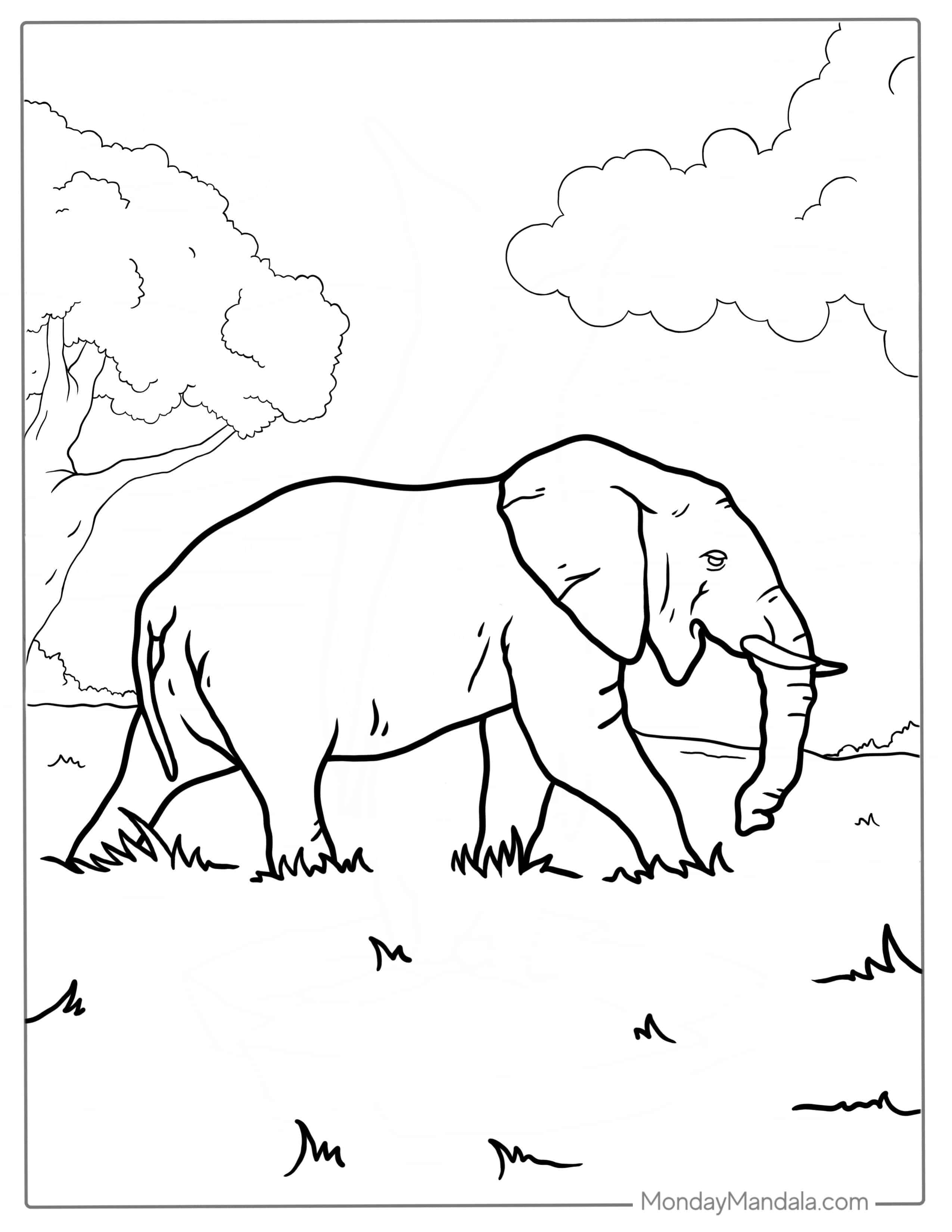 Side On View Of Asian Elephant To Color coloring page — printable line art