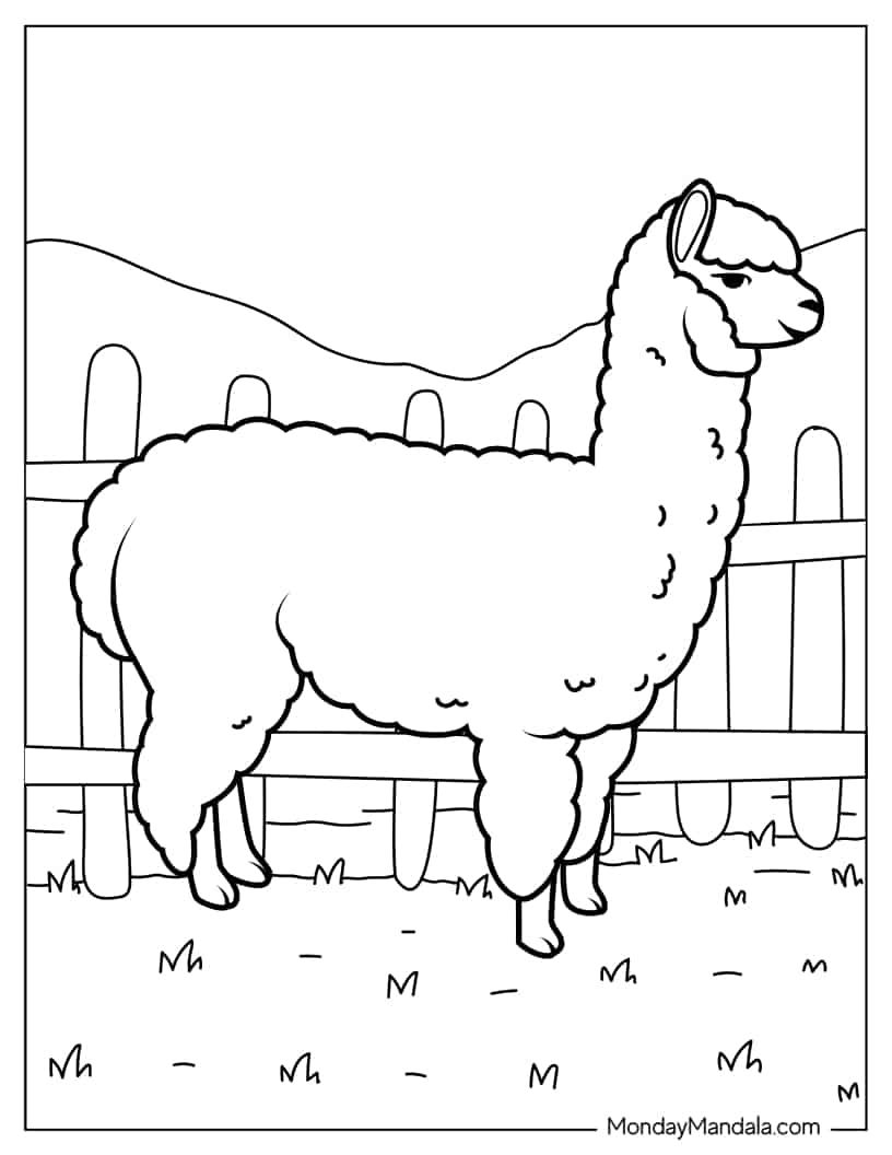 Alpaca Farm Animal To Color coloring page