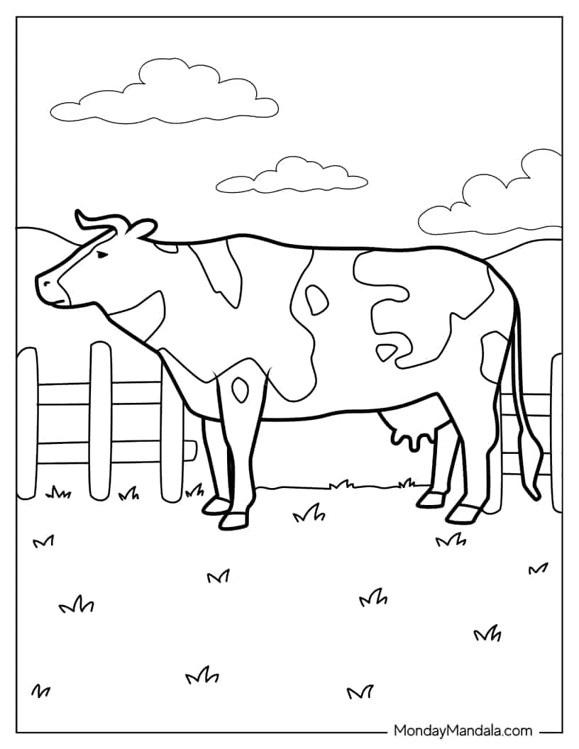 Common Farm Cow coloring page — printable line art