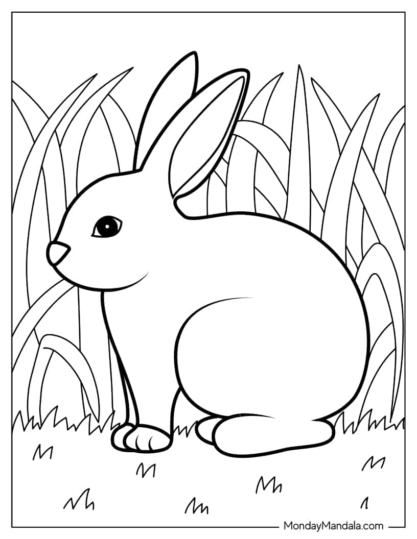Cute Wild Rabbit coloring page — printable line art
