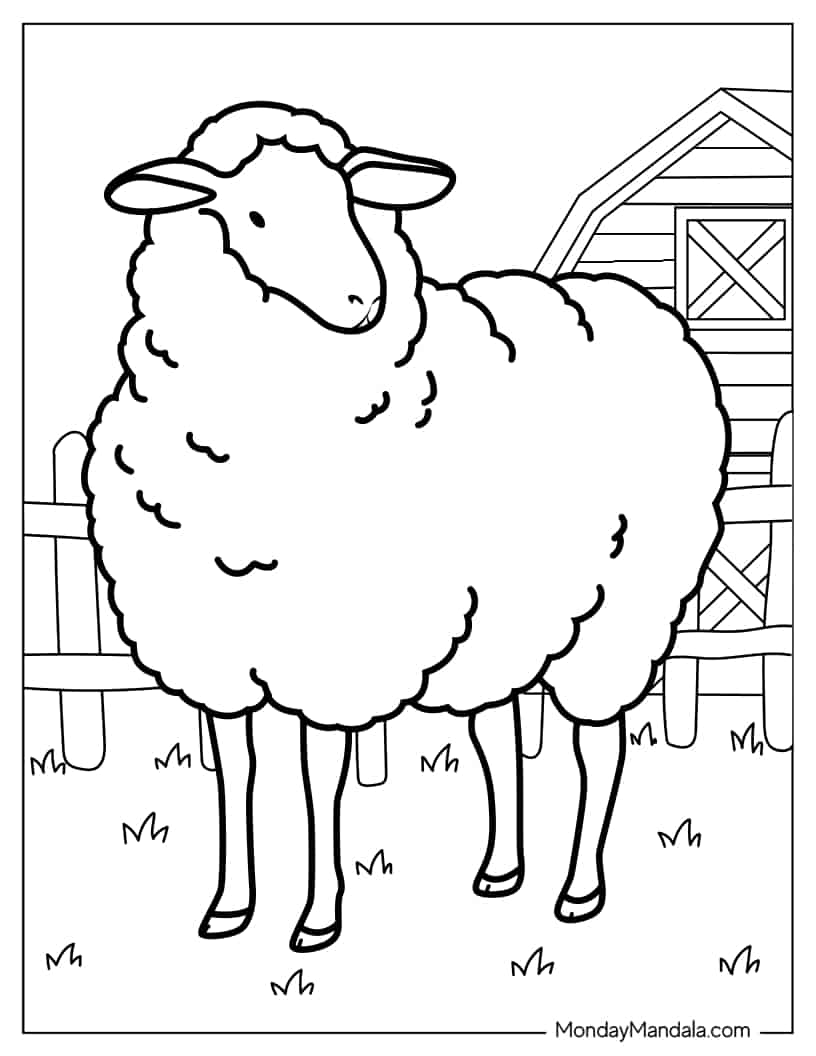 Fluffy Farm Bred Sheep coloring page — printable line art