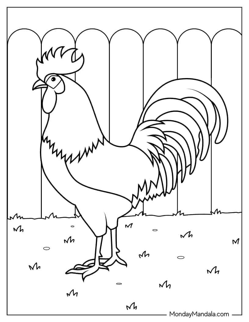 Head Farm Rooster To Color coloring page — printable line art