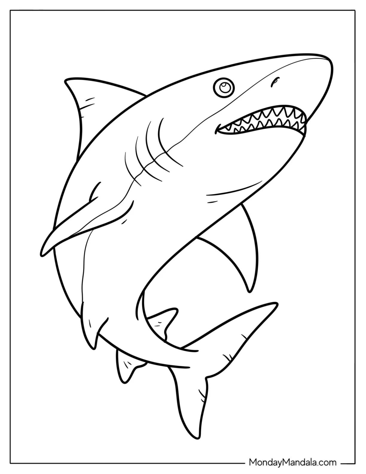 Fish Coloring Page of Easy Adult Shark Outline for Kids coloring page