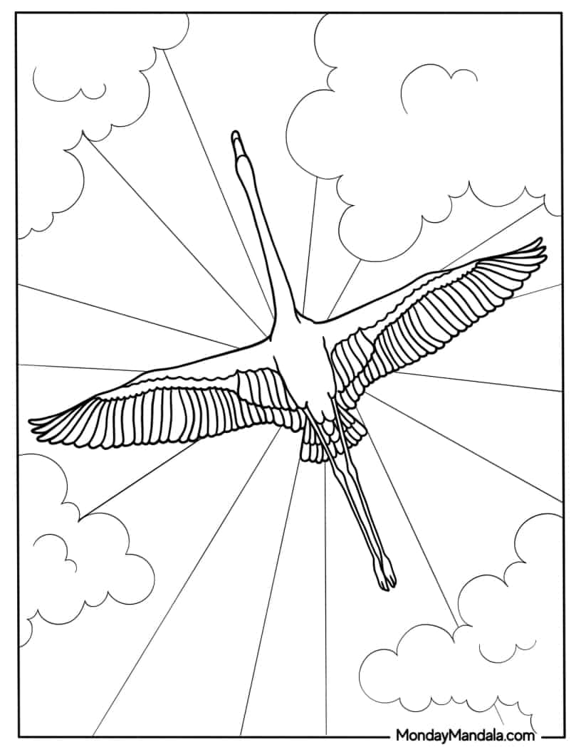 Flamingo Flying With Wings Spread Wide Open coloring page — printable line art