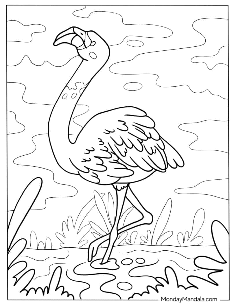 Flamingo Walking In The Water coloring page — printable line art
