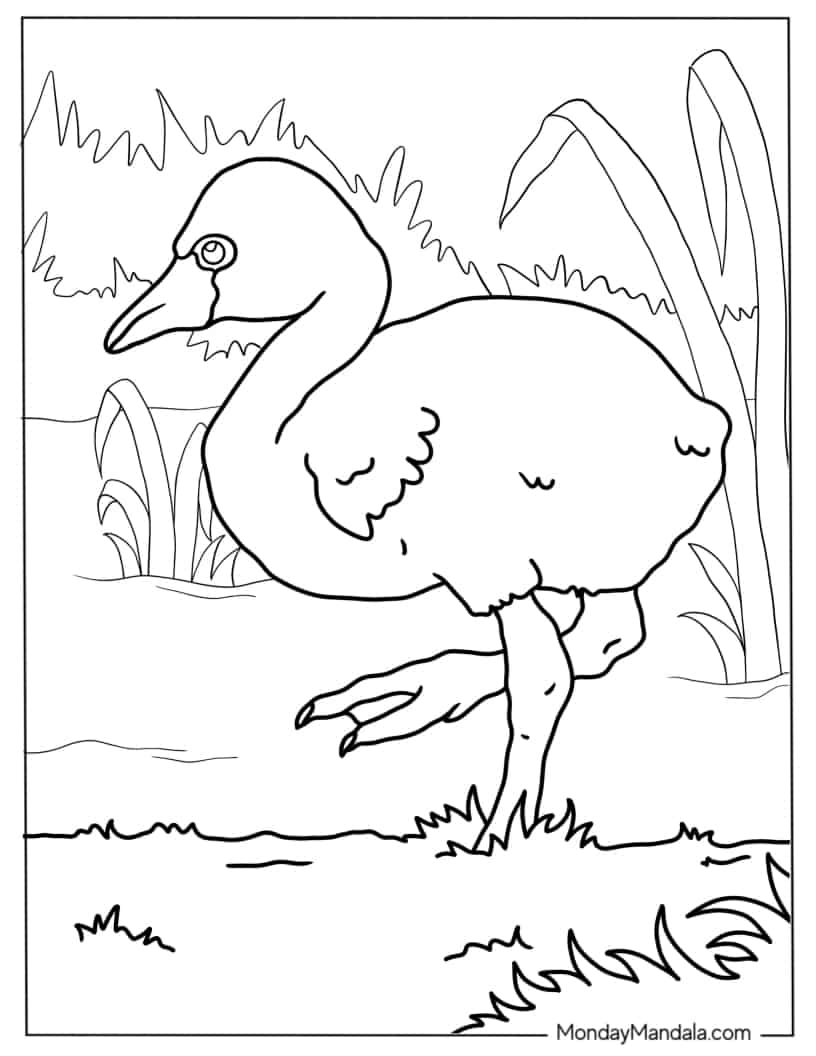 Realistic Baby Flamingo To Color coloring page