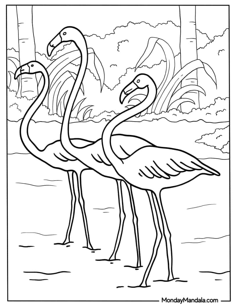 Three Realistic Looking Flamingos coloring page
