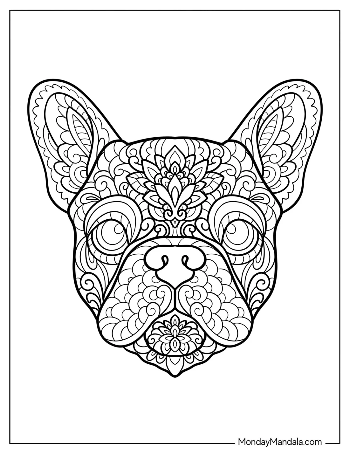 Detailed French Bulldog Coloring Page Mandala with Floral Patterns coloring page