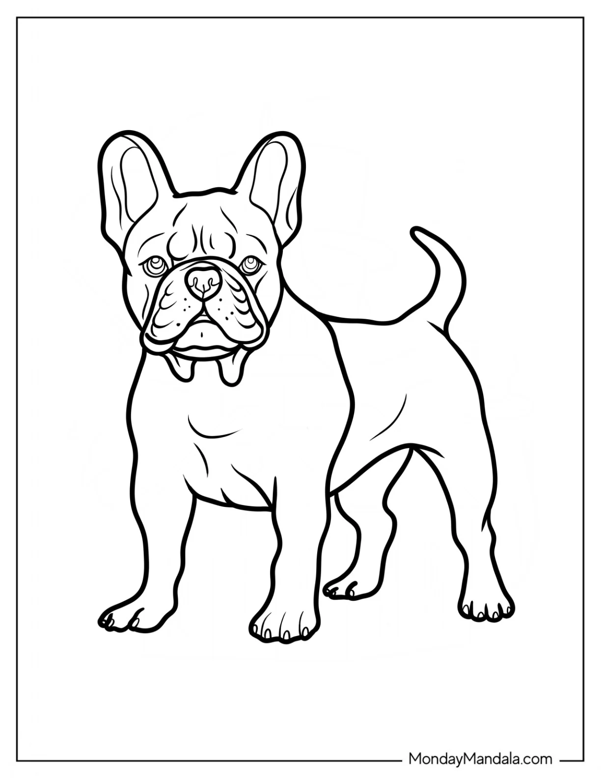 Realistic French Bulldog Coloring Page coloring page — printable line art