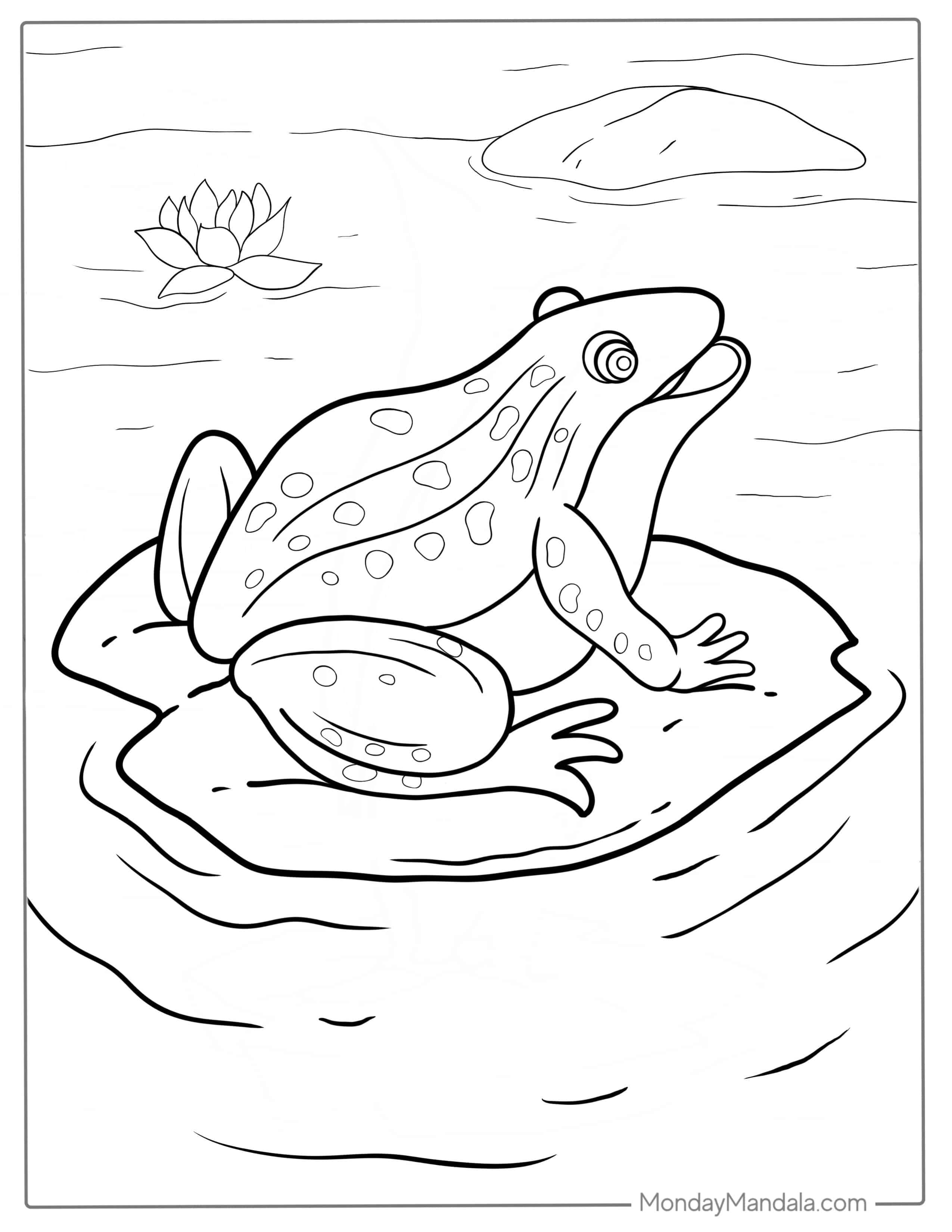 American Bullfrog Coloring Sheet coloring page