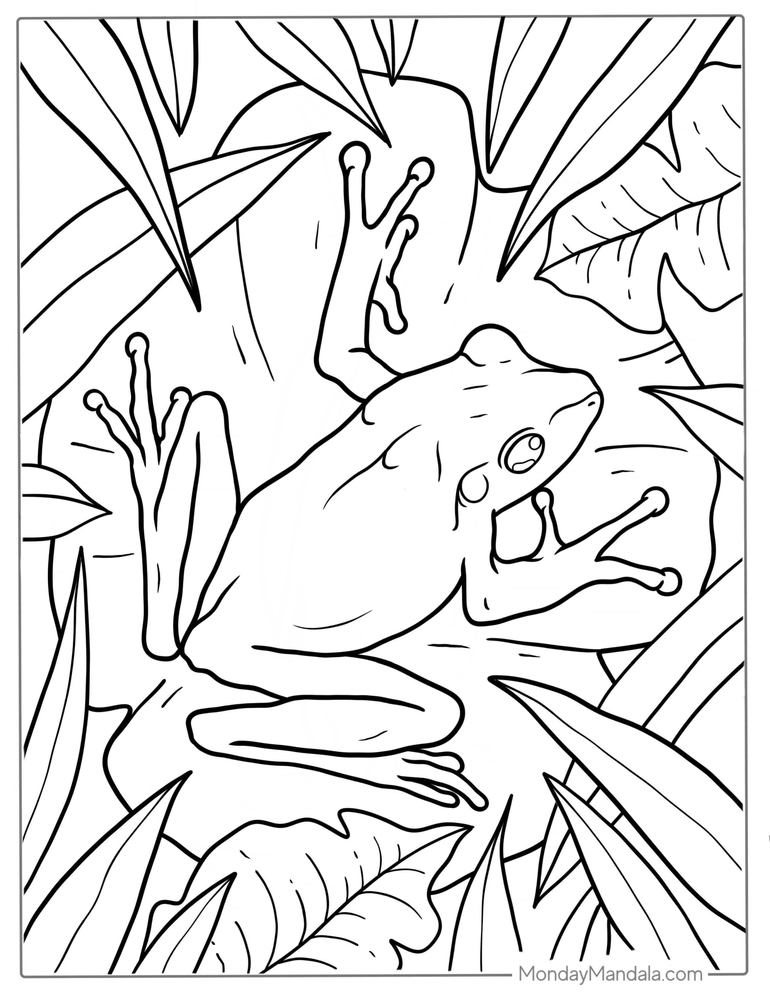 Common Frog On Lily Pad To Color coloring page — printable line art