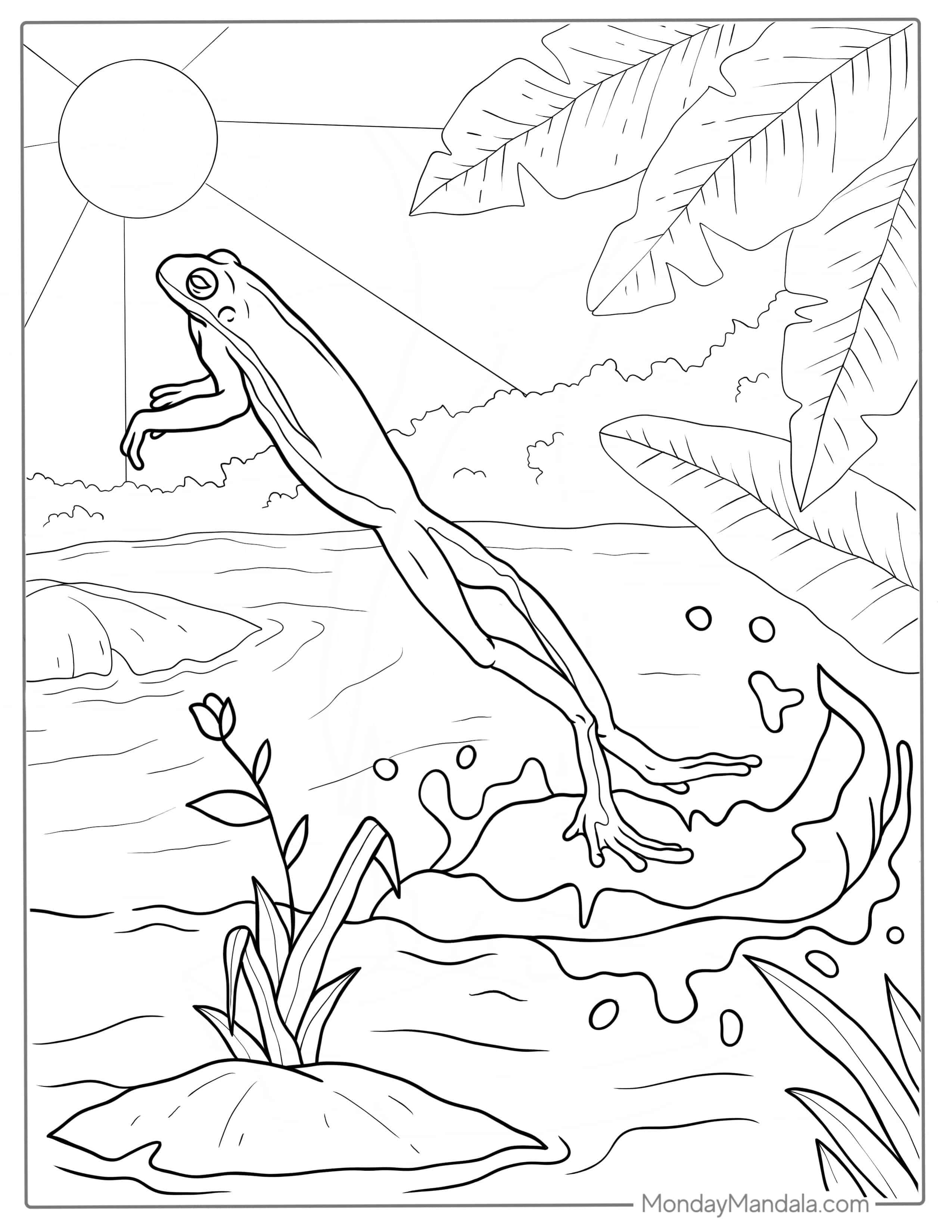 Frog Jumping Off Lily Pad coloring page