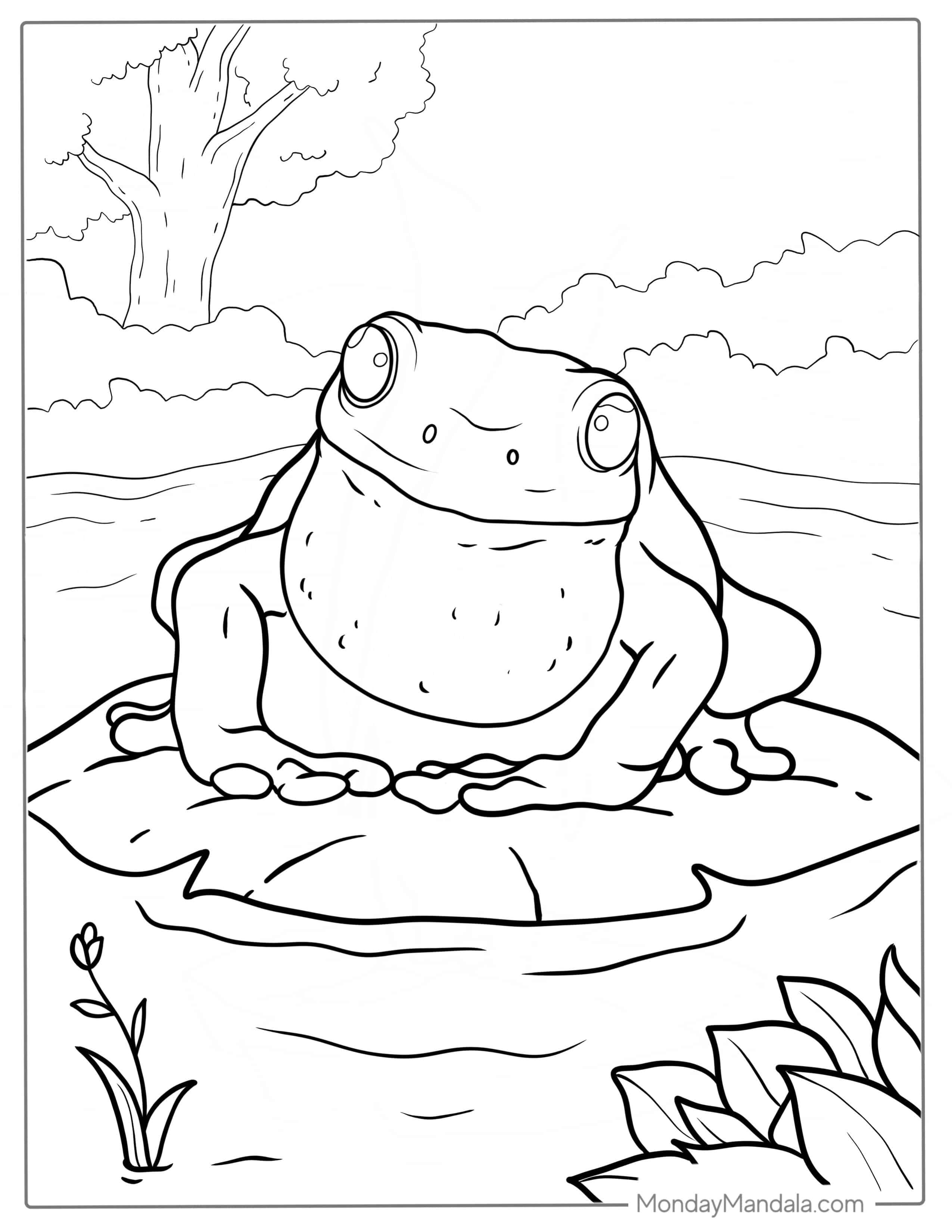 Frog With Vocal Sac Coloring Sheet For Kids coloring page