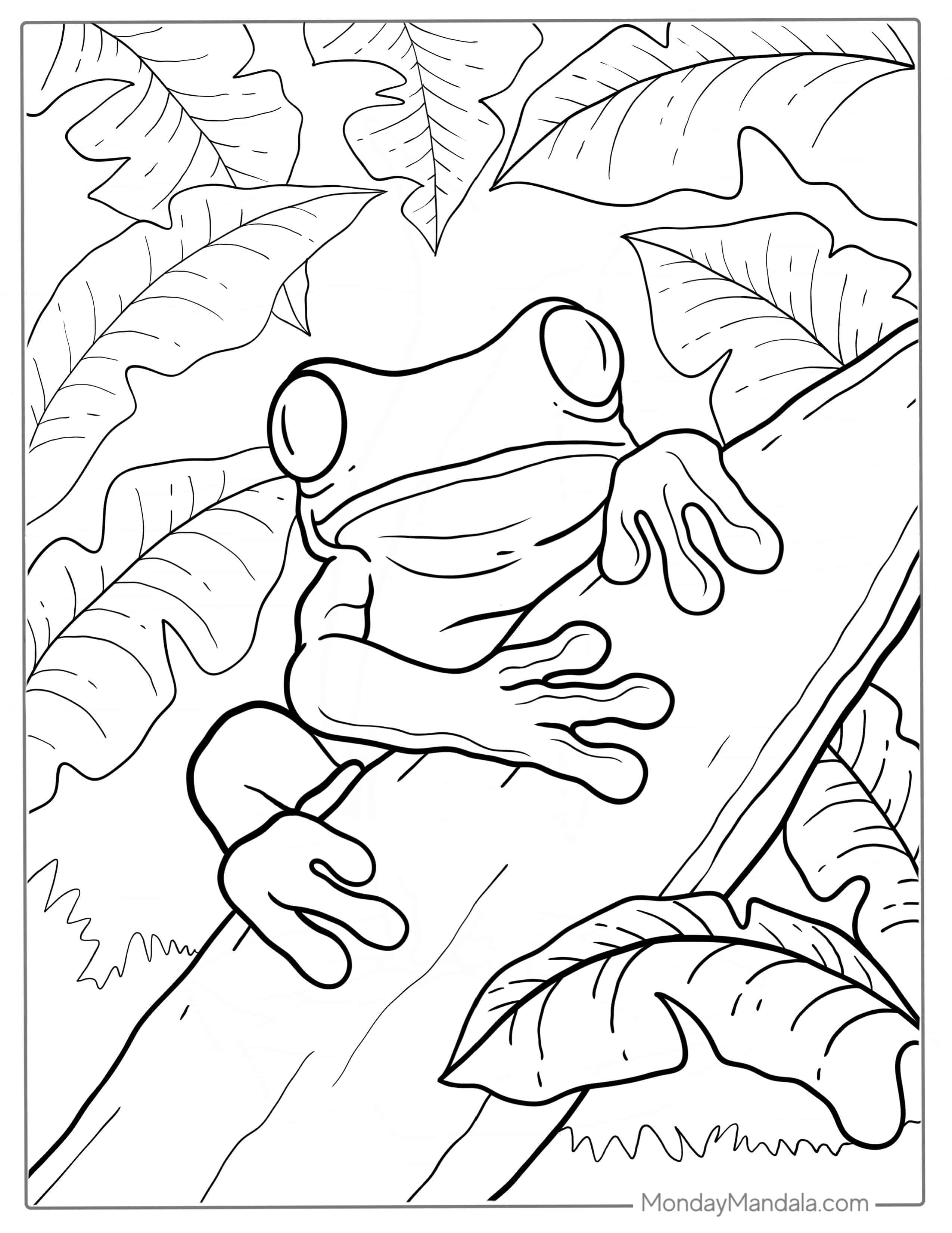 Green Tree Frog Coloring Sheet coloring page — printable line art