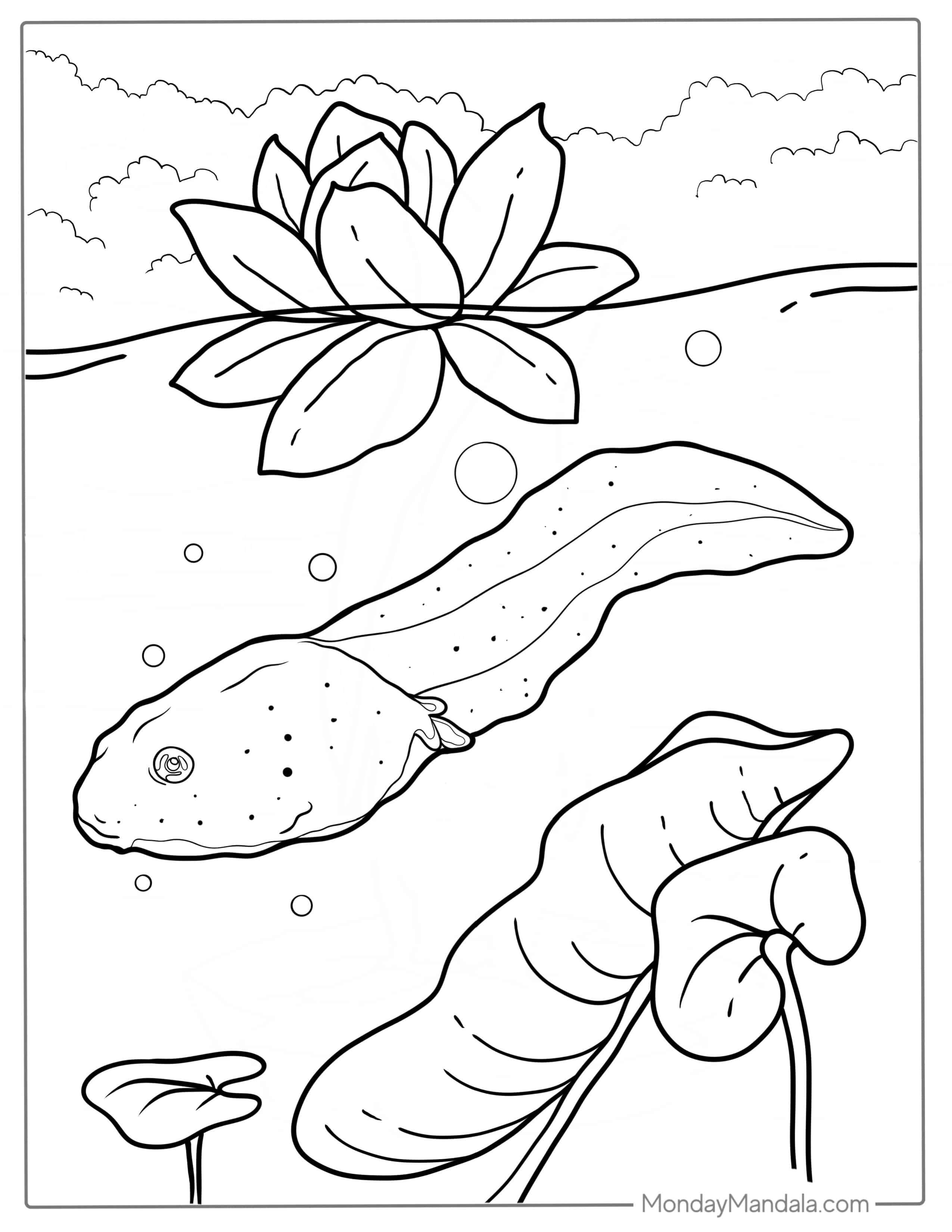 Tadpole Coloring Page For Kids coloring page — printable line art