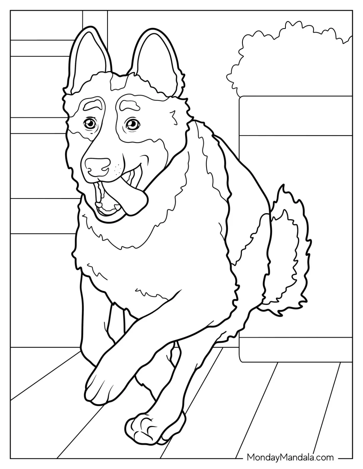 Fluffy German Shepherd Coloring Page Mid Run With Tongue Out coloring page — printable line art