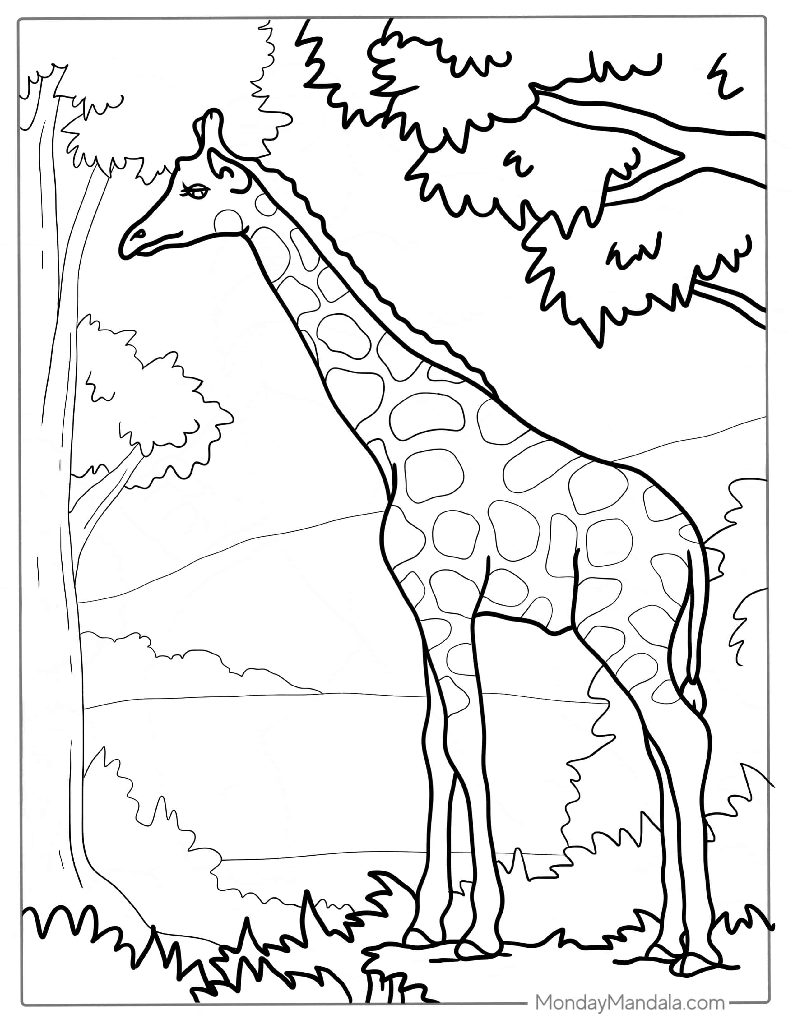 Adult Giraffe Looking For Food coloring page — printable line art