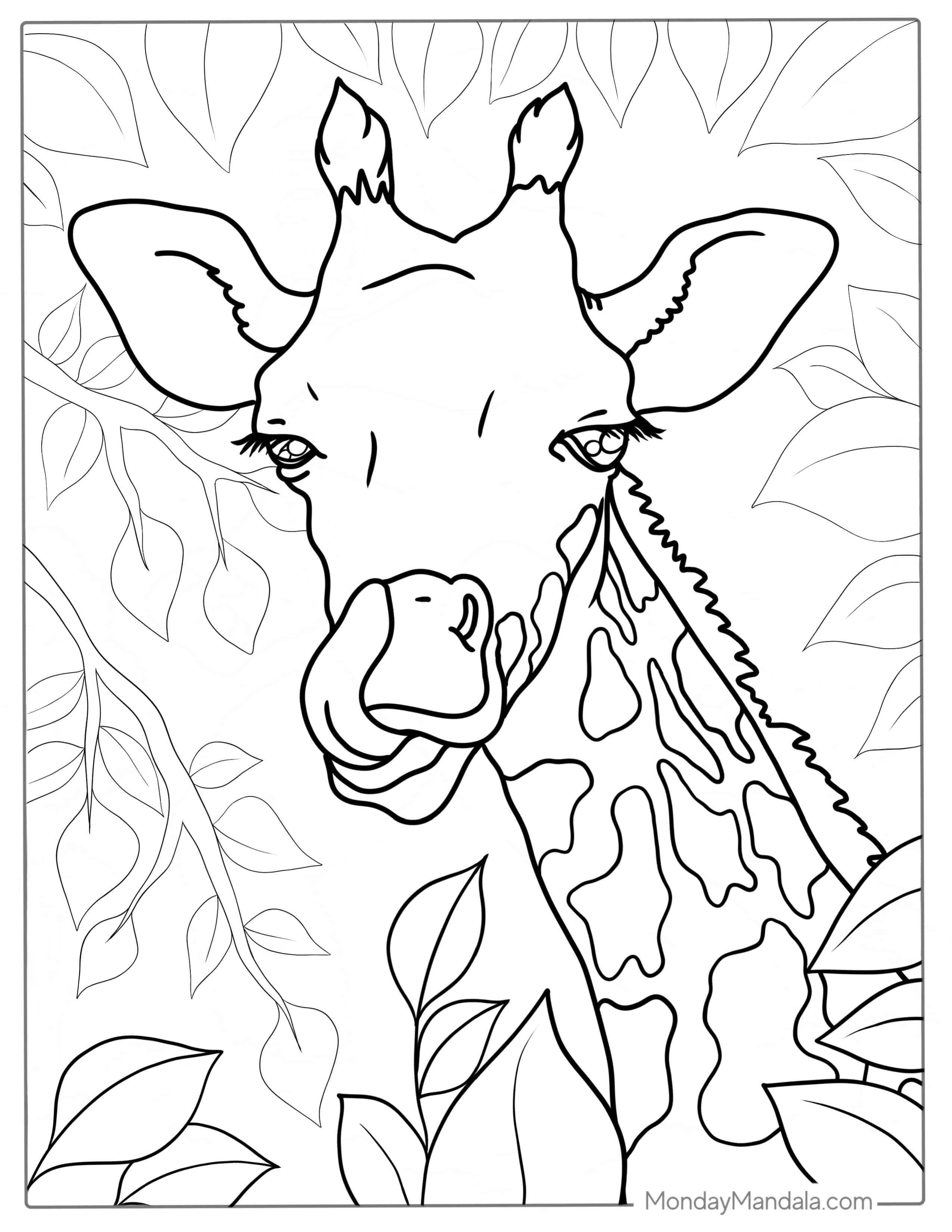 Close Up Of Giraffe Licking Nose To Color coloring page — printable line art
