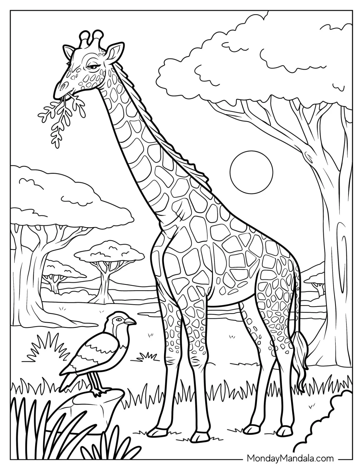 Giraffe Coloring Page of Eating Leaves In A Peaceful African Savanna Scene coloring page — printable line art