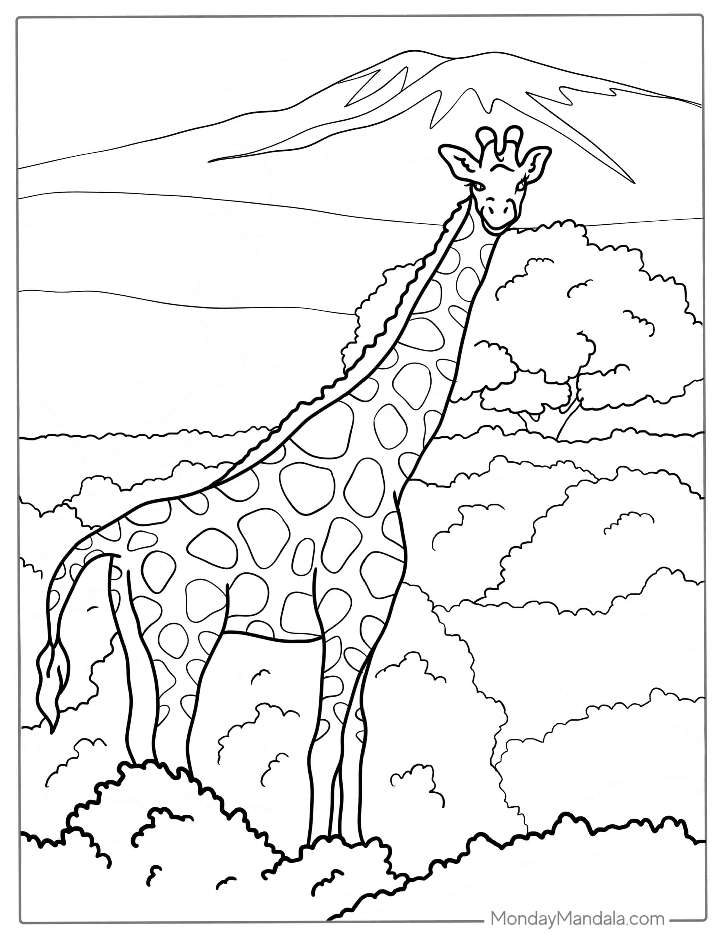 Giraffe With a Large Mountain In The Background coloring page