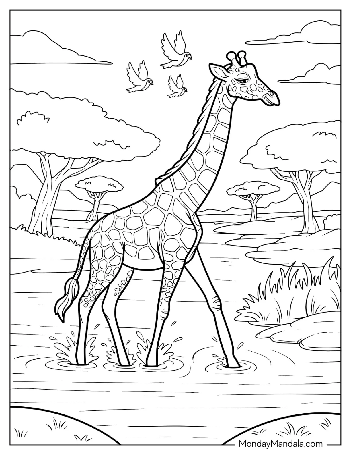 Large Giraffe Coloring Page of Walking Through Water In Savanna with Birds in the Sky coloring page — printable line art