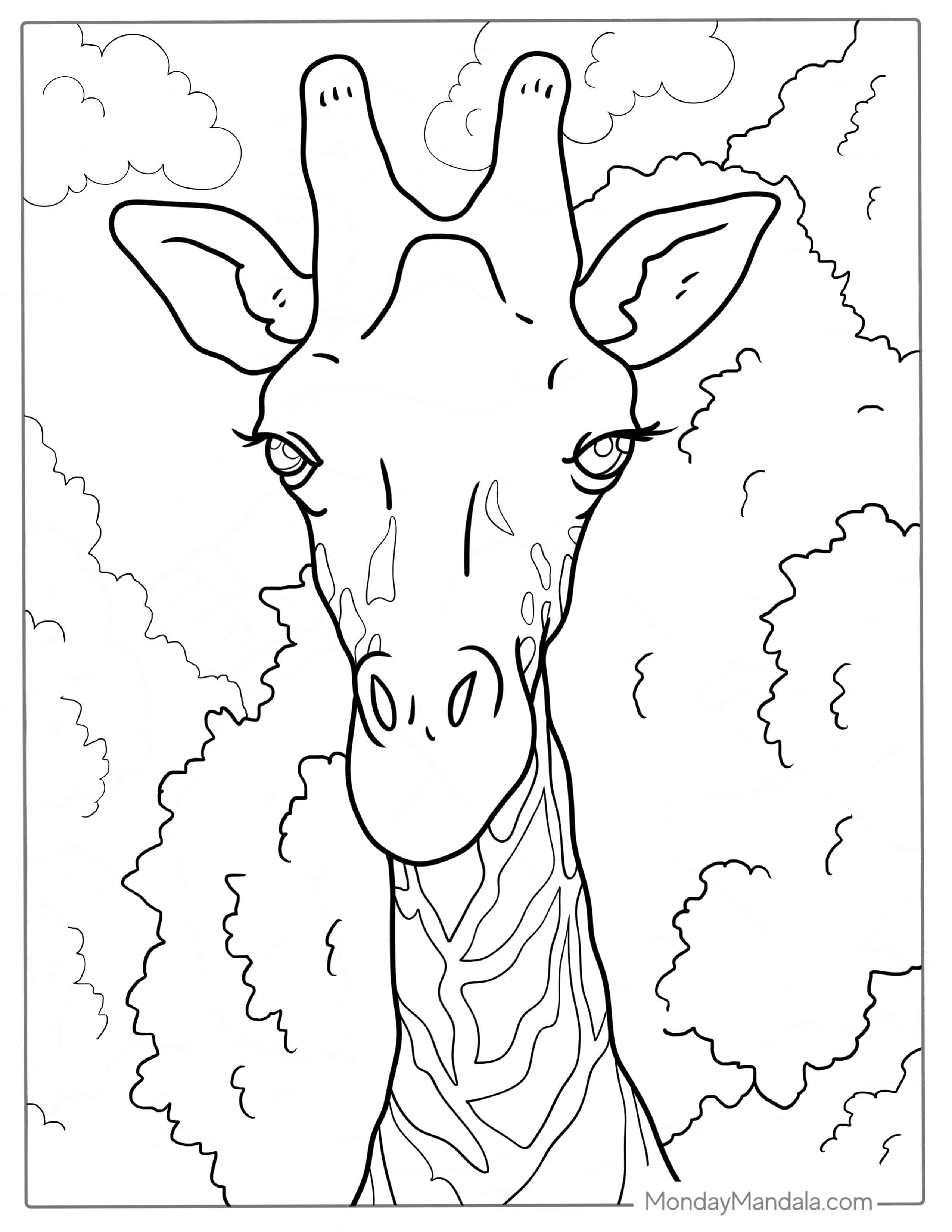 Realistic Giraffe Face Coloring Page coloring page