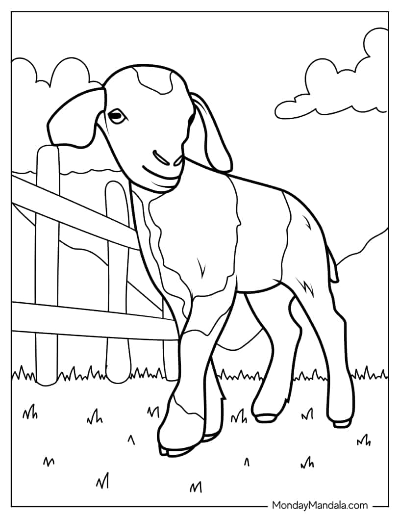 Adorable Baby Goat On a Farm coloring page