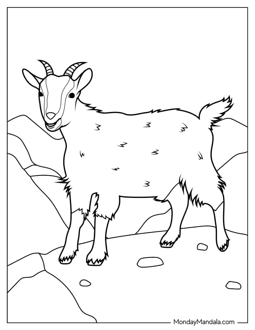 Fluffy Mountain Goat To Color coloring page